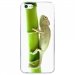 CRYSIPHONE5CCAMELEON - Coque rigide transparente pour Apple iPhone 5C avec impression Motifs caméleon sur un bamboo