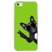 CRYSIPHONE5CCHIENVVERT - Coque rigide transparente pour Apple iPhone 5C avec impression Motifs chien à lunettes sur fond ver
