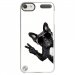 CRYSTOUCH5CHIENVBLANC - Coque rigide transparente pour Apple iPod Touch 5 avec impression Motifs chien à lunettes sur fond