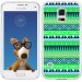 TPU0GALS5AZTEQUEBLEUVERT - Coque Souple en gel transparente pour Galaxy S5 avec impression Motifs aztèque bleu et vert