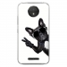 TPU0MOTOCPLUSCHIENVBLANC - Coque souple pour Motorola Moto C Plus avec impression Motifs chien à lunettes sur fond blanc