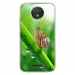 TPU0MOTOCPLUSESCARGOT - Coque souple pour Motorola Moto C Plus avec impression Motifs escargot sur une tige
