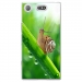 TPU0XZ1COMPESCARGOT - Coque souple pour Sony Xperia XZ1 Compact avec impression Motifs escargot sur une tige