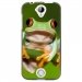 TPU1Z330GRENOUILLE - Coque souple pour Acer Liquid Z330 avec impression Motifs grenouille