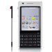 Accessoires pour Ericsson P1i