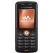 Accessoires pour Ericsson W200i